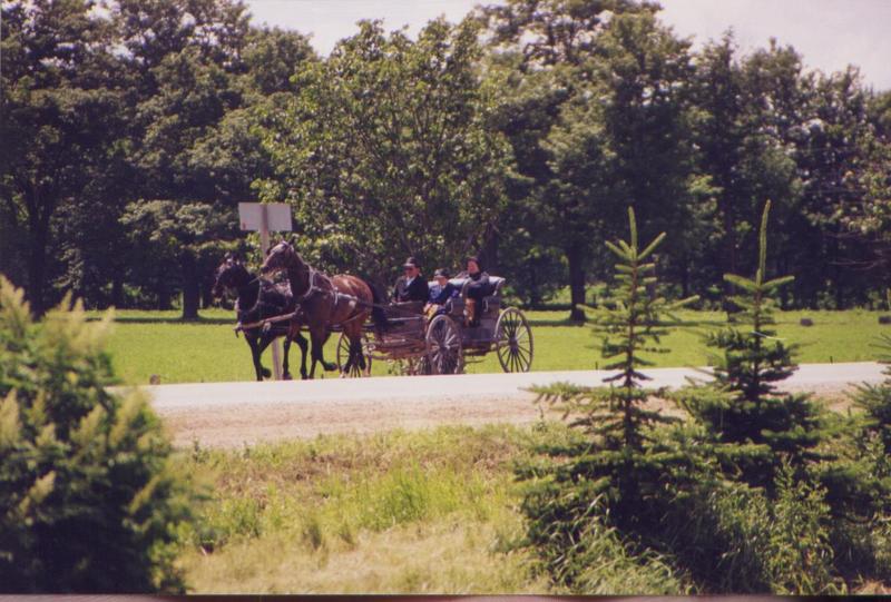 Pferdekutschen
